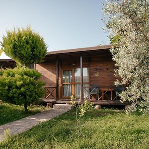 Serenity Bungalows